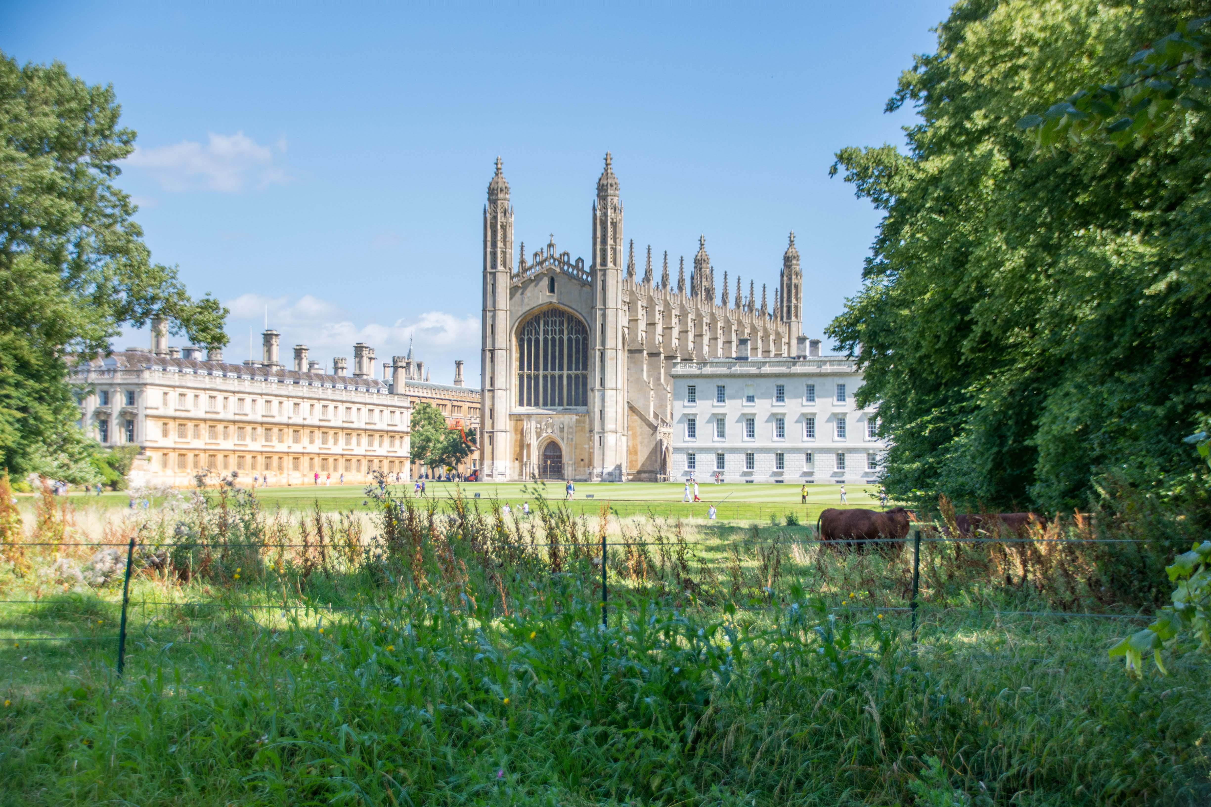 University of Cambridge