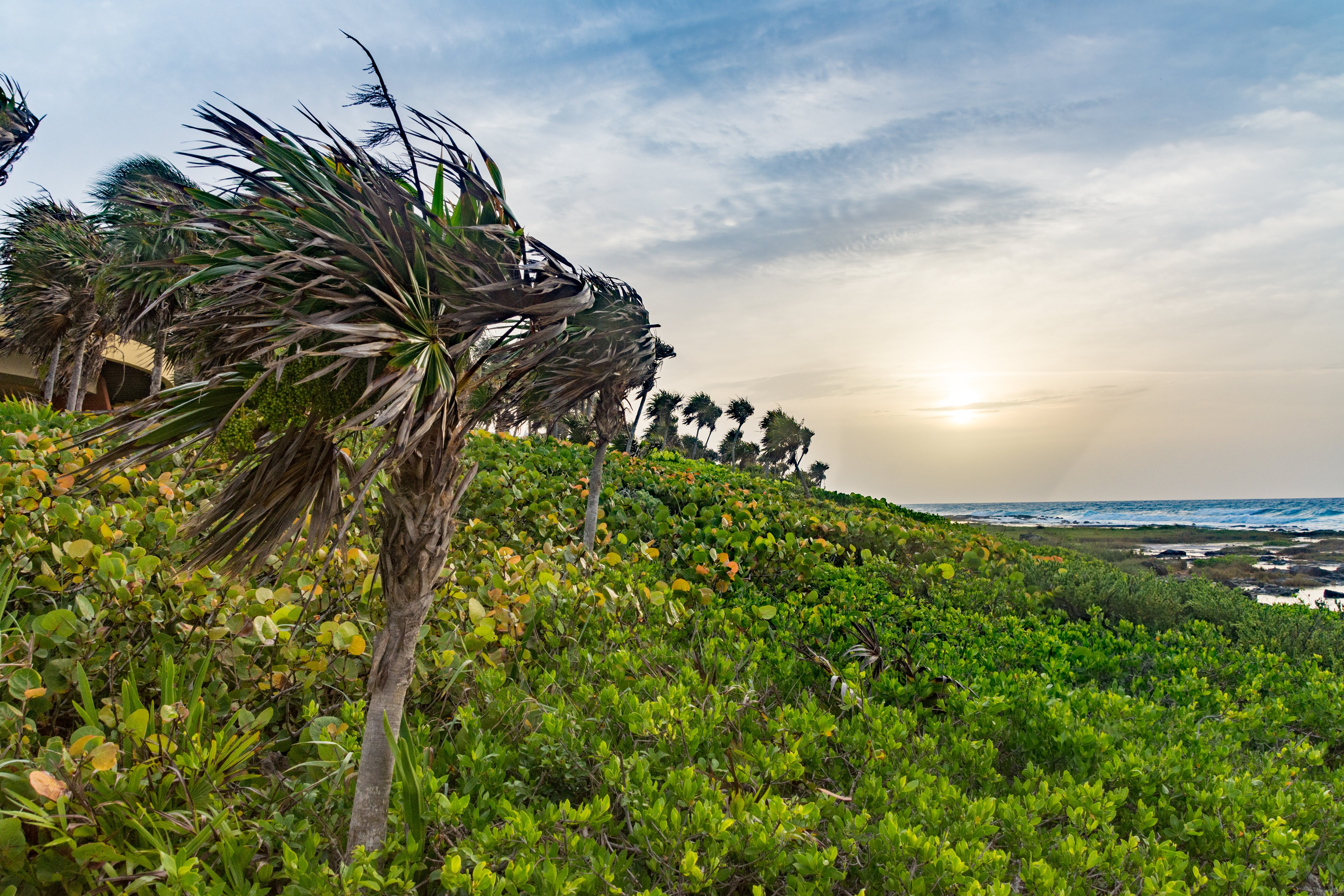 Sunrise in the Yucatan