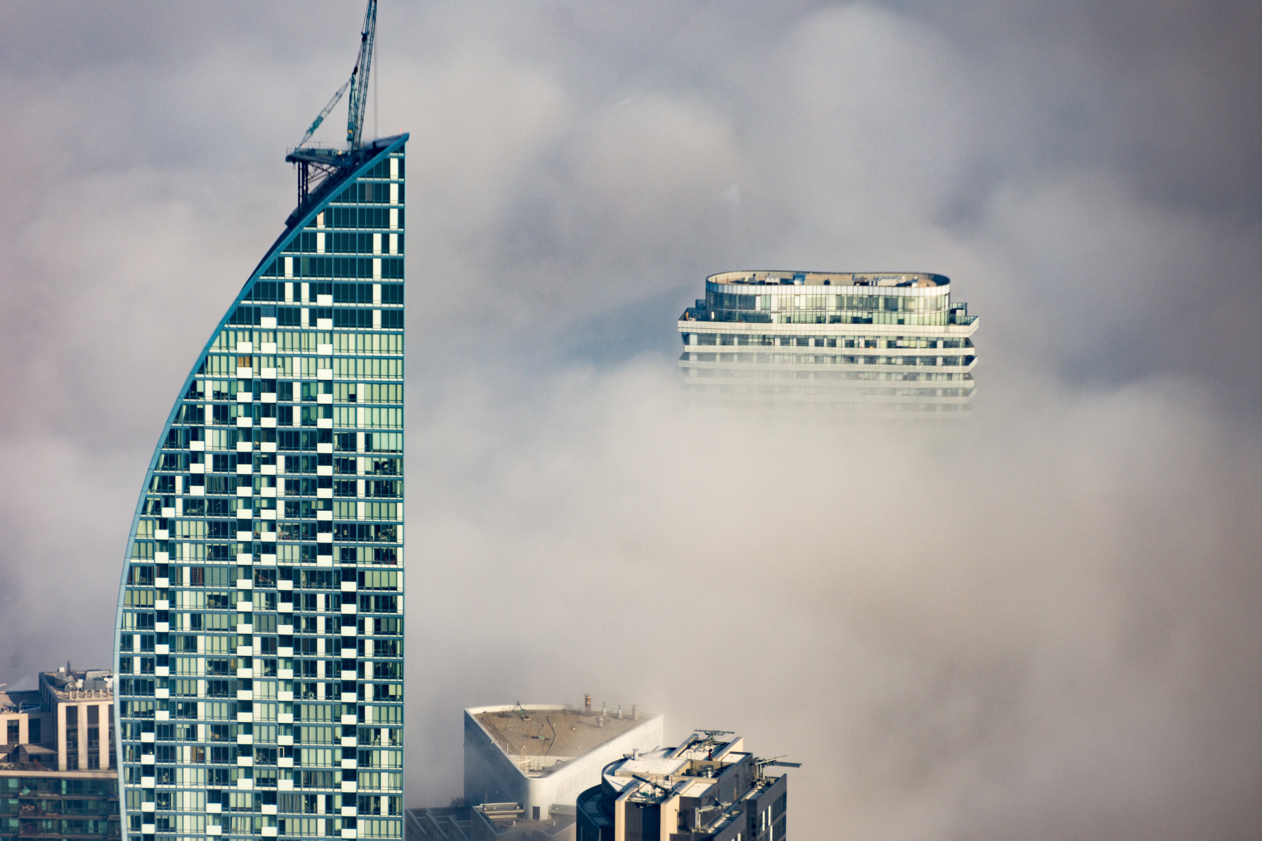 Peeking out of the fog