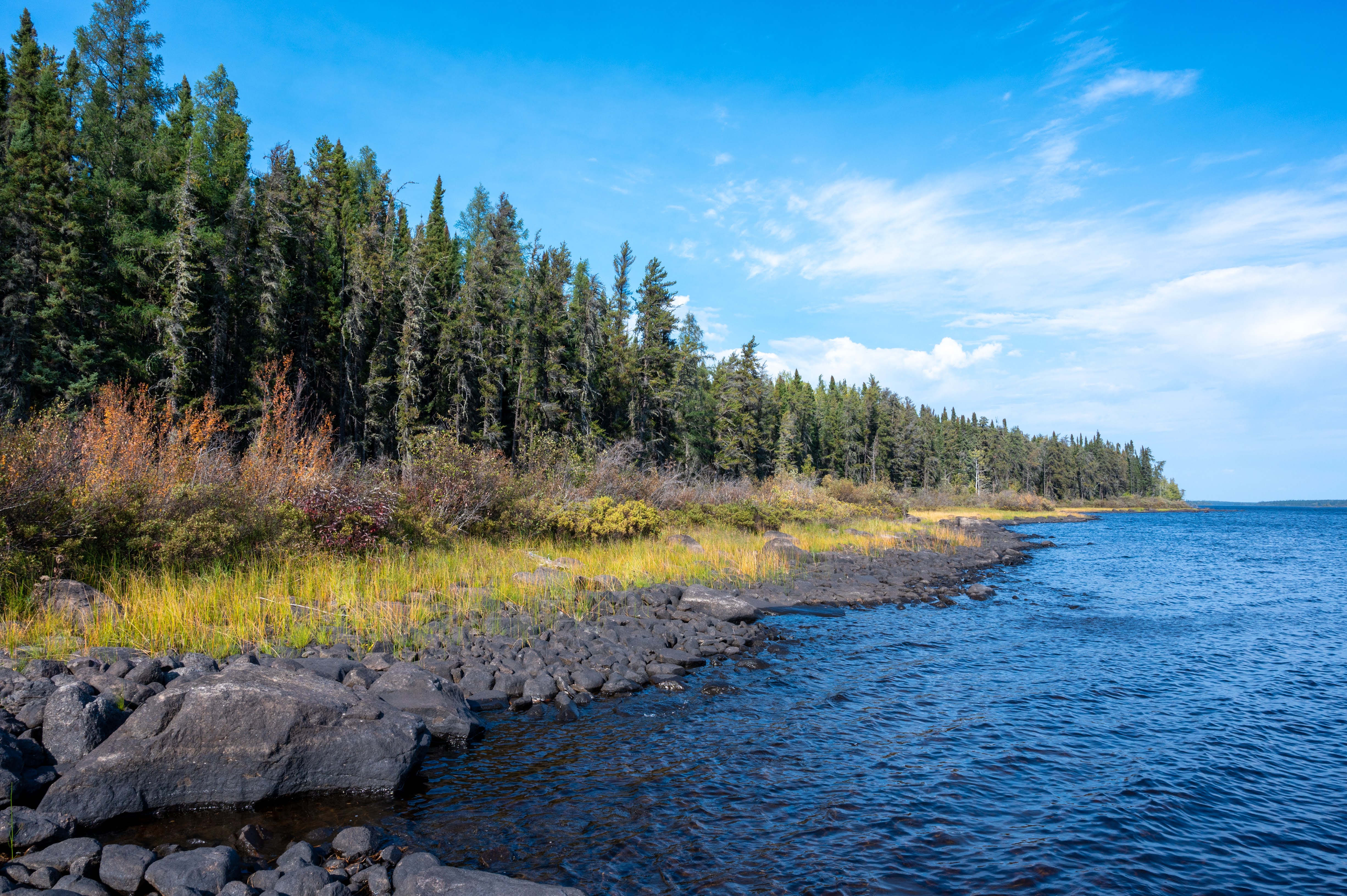 Bow Lake shoreline