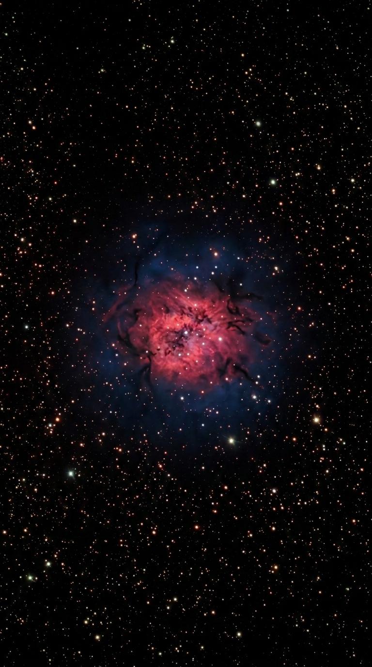 Cocoon Nebula